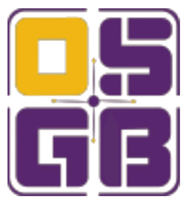 OSGB — Oluwa Shola Global Business