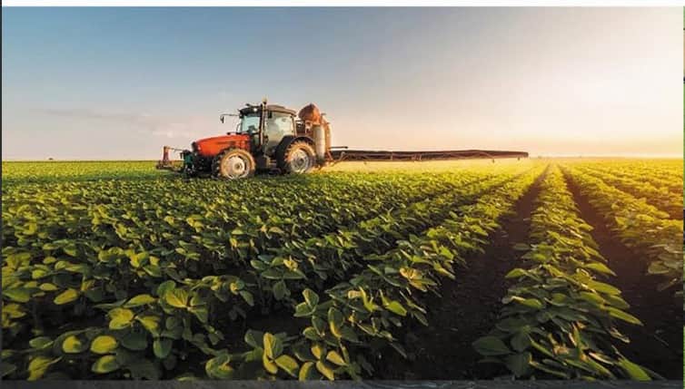 Agriculture & Livestock